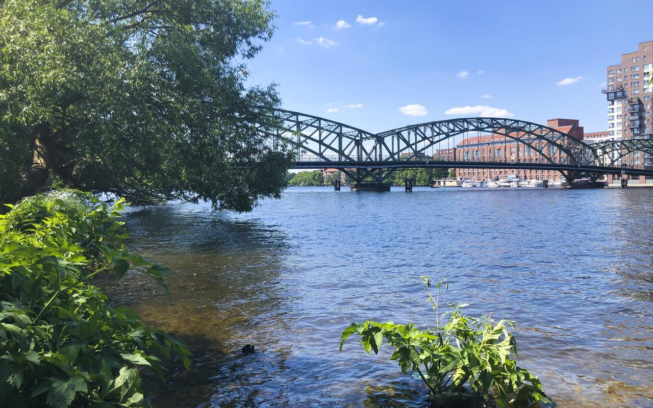 Park Penthouses Insel Eiswerder By Suite030 4* Berlino